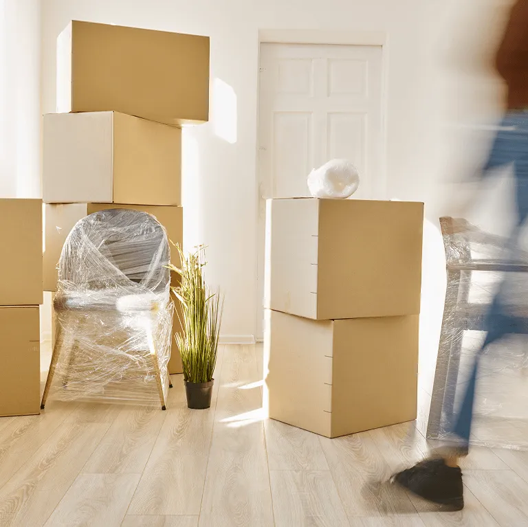 The ultimate guide to a fresh home